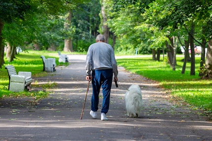 For many older people, a dog is not just a friend; it's also a way to stay active.
