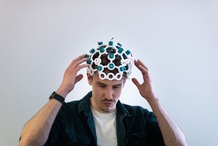 This is what the EEG nets looked like before.
