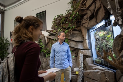 Terrariums are also manufactured in the company’s very own production.