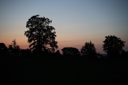 The unprocessed RAW image i.e. with Lightroom’s default settings.