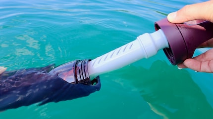 De l'eau du robinet : grâce au filtre, l'eau du lac devient potable