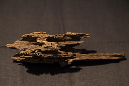 Le bois d’oud, également appelé bois d’Aloes ou bois d’aigle de Malacca.