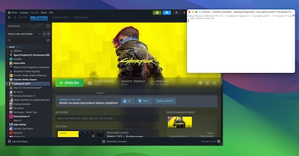 Games or launchers such as Steam must be opened using a terminal command.