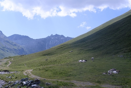 La vue depuis la terrasse.
