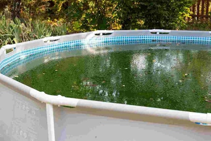 Ce n’est pas notre piscine, mais elle ne donne pas envie.