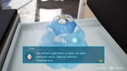 There it is! With this ice onion, I can now grow Ice Pikmin.