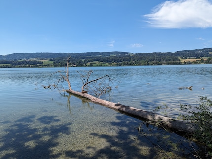 Google Pixel 7 Pro : la photo de comparaison est beaucoup plus proche de la réalité.