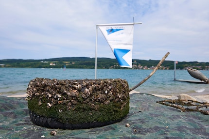 Un pneu de voiture repêché dans le lac de Constance.