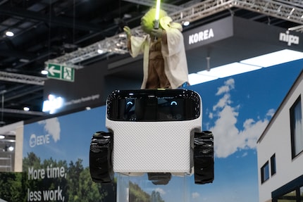 Le robot Willow semble sympathique. Et la mascotte Yoda ajoute la cerise sur le gâteau.