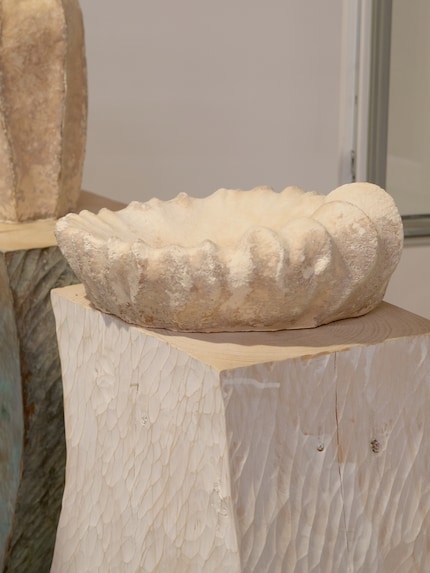 Il est composé entre autres de cellules filamenteuses d'un champignon.
