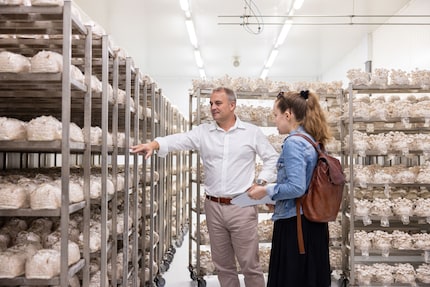 The substrate is largely made of recycled material – and most of it is recycled.