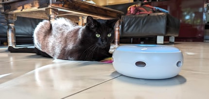 The cat gets it. He can lurk outside the hole and wait for the prey to come out.
