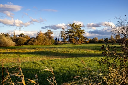 Landscape shots are a piece of cake with the kit lens.