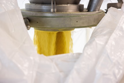 L’aromate obtient sa couleur jaune vif grâce au curcuma. 