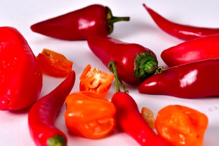 Whether they’re big and mild or tiny and hot, peppers and chillies belong to the same plant genus – Capsicum.
