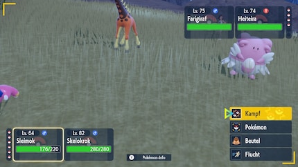 La caméra se focalise sur les faiblesses visuelles du jeu plutôt que sur les combats au tour par tour.