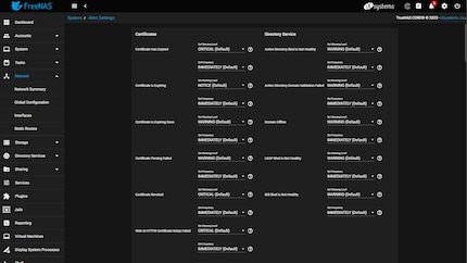 TrueNAS offre aux professionnels de nombreuses possibilités dans les sous-menus. Personnellement, ces derniers me dépassent.
