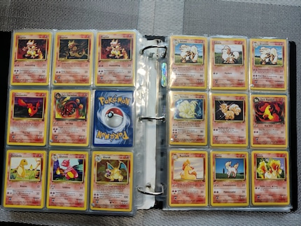 Des dossiers entiers étaient remplis de petites cartes à collectionner avec des Pokémon dessus.