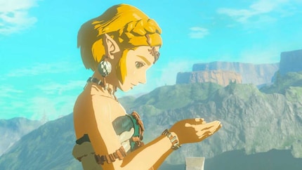 Zelda is still waiting for her turn.