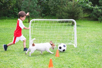 Playing, running around, being outside: Dogs make children fitter.