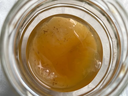 Je me suis lancée dans le kombucha maison grâce à un cadeau de ma sœur. Laissez-moi vous présenter le scoby.