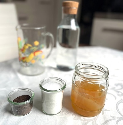 Les ingrédients du kombucha maison : scoby, sucre, thé et eau.