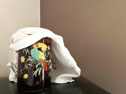 La première ébauche de mon kombucha peut maintenant fermenter à température ambiante.