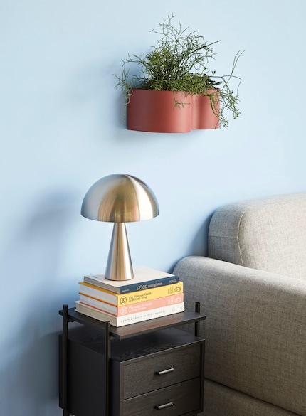 Plantes ou bric-à-brac : la boîte murale « Birgit » est idéale pour ranger de petits objets.