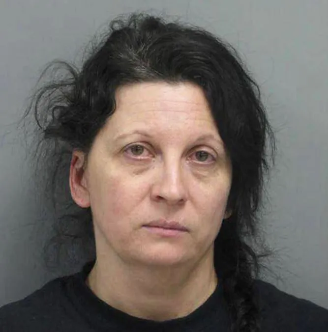 Liz Golyar s'est révélée être la véritable harceleuse de Dave Kroupa. Elle a été condamnée pour le meurtre au premier degré de Cari Farver et pour incendie criminel.