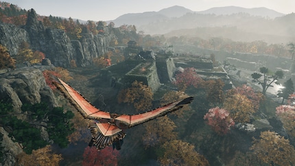 I love the glider.