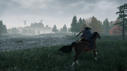 The graphics are okay, but no better than that.