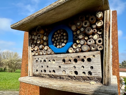Cet hôtel à insectes est plus ancien, mais toujours aussi apprécié dans notre jardin. Les tubes fermés sont déjà occupés et contiennent peut-être du couvain.