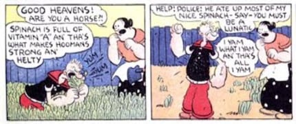Popeye le savait depuis le début : ce n’est pas la teneur en fer qui fait la particularité des épinards.