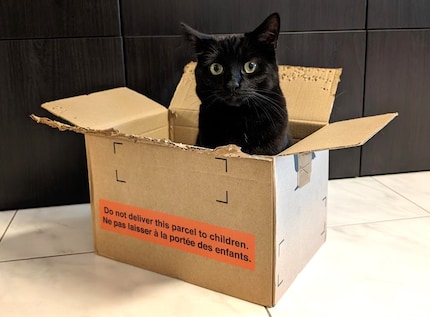 Nero est très fier du résultat.