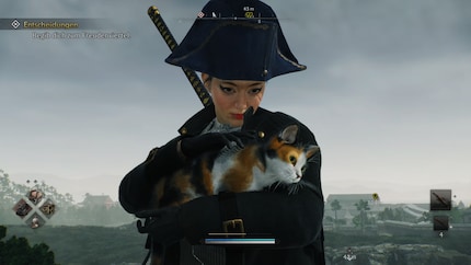 Miez, miez, miez. Katzen suchen macht Spass.
