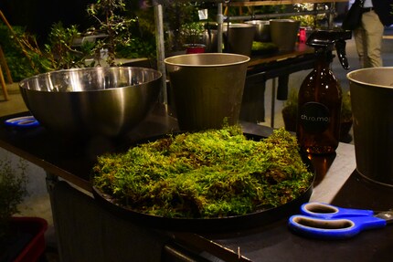 Étape suivante : recouvrir le kokedama d’un manteau de mousse.