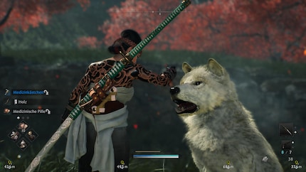 Rise of the Ronin also has friendly dogs that lead me to hidden treasure. How cute!