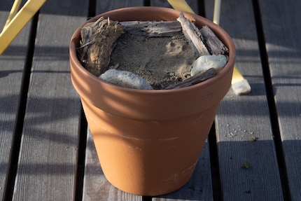 It’s not just the little insects that are happy about this sandpit.