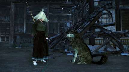 Le chien anciennement ennemi observe sagement pendant que je bats des ennemis.