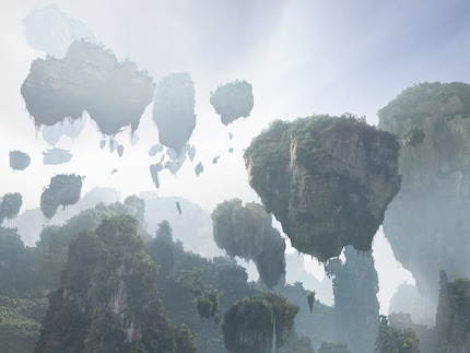 Qui était là en premier ? Les kokedamas ou les montagnes Hallelujah dans « Avatar » ?