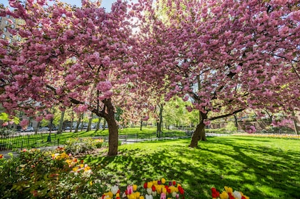 Nobody : jusqu’à quel point le kitsch est-il acceptable ? Le printemps : oui !