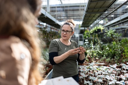 Regula Kieser-Gautschi a quelque chose à raconter sur chaque plante. Elle a passé toute sa vie parmi les plantes succulentes.