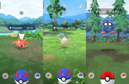 I’ve already discovered these biomes in the game. They contain bodies of water, mountains and fir trees.