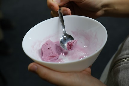 Dégustation du frozen yogourt.