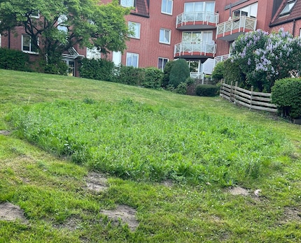 A small island of tall grass on a clipped meadow can help.