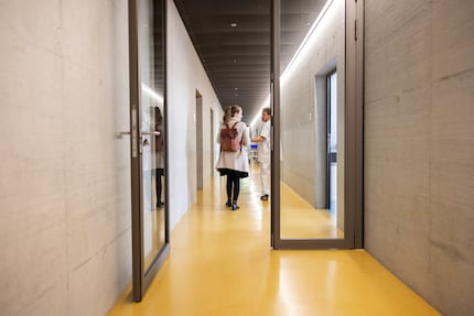 La clinique pour petits animaux est immense : elle abrite 18 spécialités, de la médecine interne générale à la dentisterie.