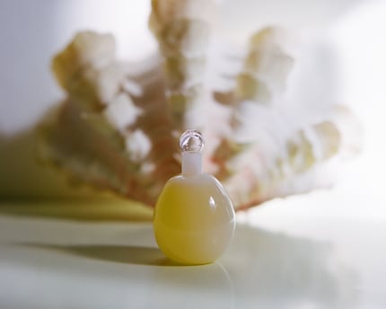 « Dangerous Pleasures » est un parfum floral et poudré.
