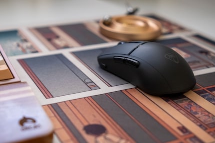 Cela ressemble à une souris, c'en est une.
