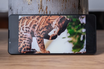 Le Sony Xperia 1 VI n'a plus le format typique des films 