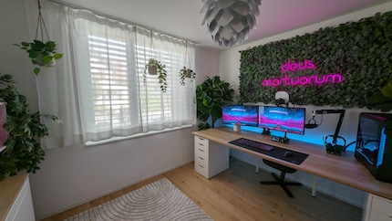 Le bureau vert de Louis qui n’a pas la main verte. 